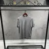 Loro Piana Grey Tshirt