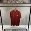 Dior Logo Detaylı Kiremit Renk Tshirt