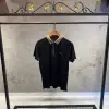 Loro Piana Siyah Yakalı Tshirt